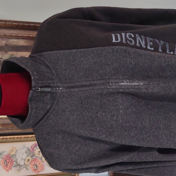 Disneyland Fleece Zip Up Gray Black - Picture 2 of 12